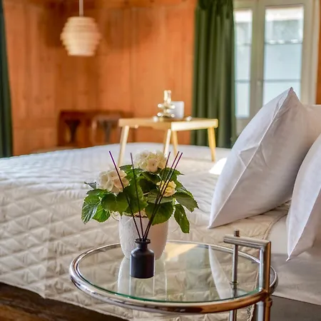 Appartamento Rooftop Maisonette In Old Town Zurigo