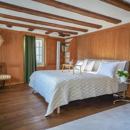 Rooftop Maisonette In Old Town Zurigo