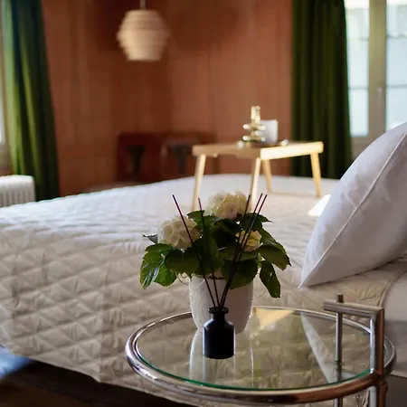 Rooftop Maisonette In Old Town Apartment Zürich