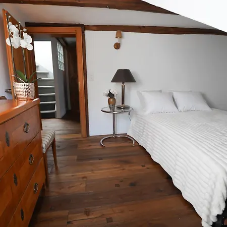 Rooftop Historical Apartment